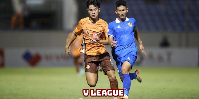 Luong Son TV cập nhật lịch đá V League