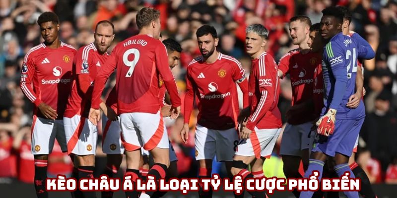 Kèo châu Á là loại tỷ lệ cược phổ biến